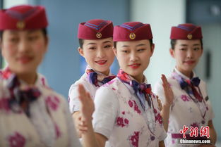 多彩贵州网 重庆 动姐 礼仪培训备战铁路调图