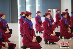 重庆动妹礼仪培训备战春运 强化服务迎佳节