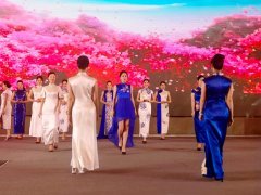 重庆第五届职业教育活动周启动，茶艺、扎染、3D打印与礼仪文化共展职教风采